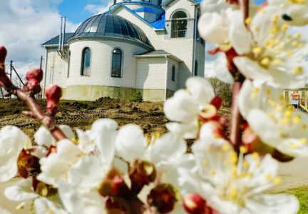 Праздничное богослужение в Успенском храме села Старая Калитва