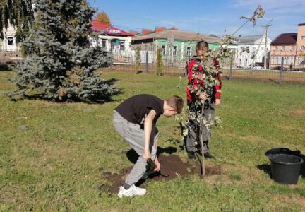 На территории кафедрального собора г. Россошь воспитанники воскресной школы высадили саженцы от 450-летнего дуба